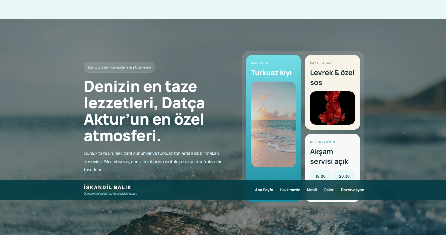 Web Tasarım Arayüzü